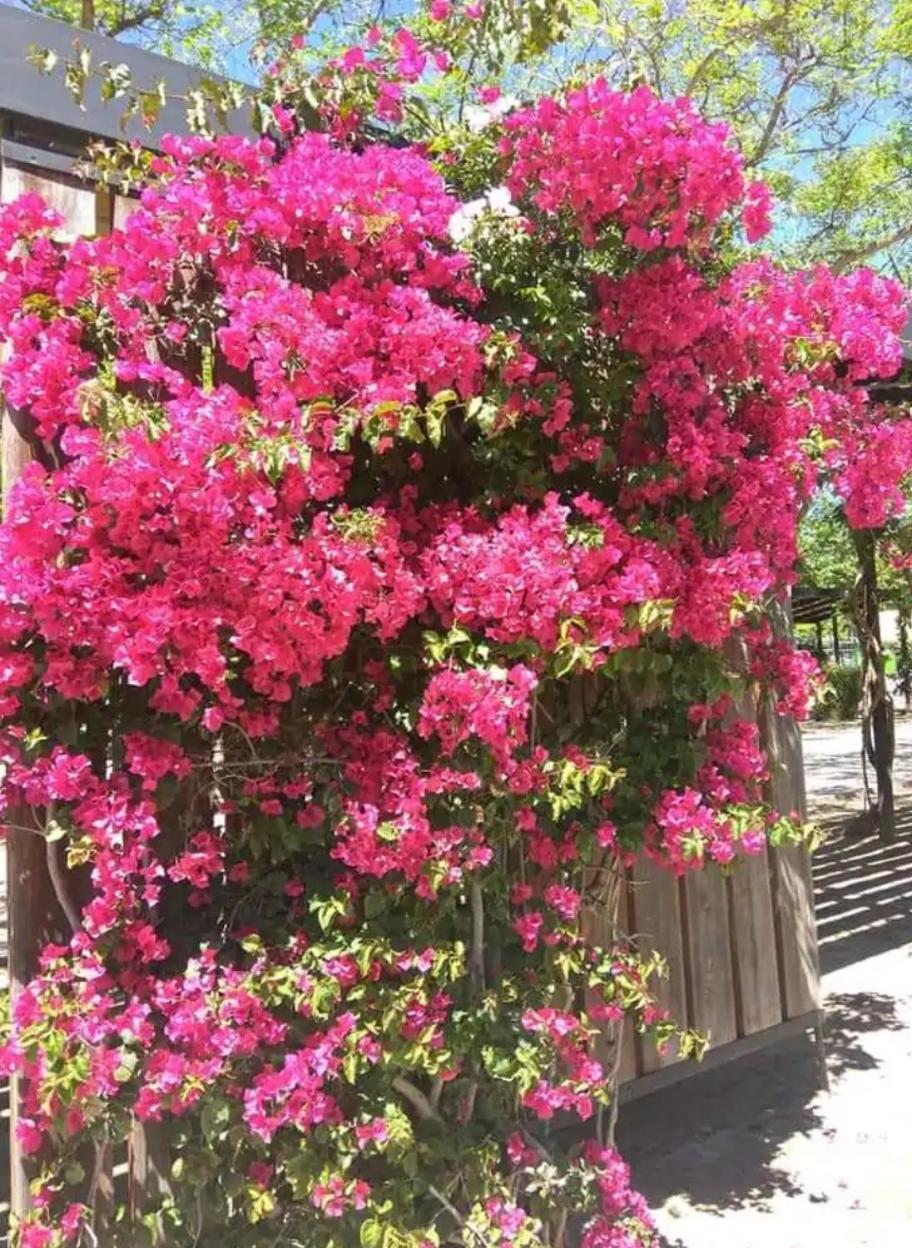 Apartment De 3 Cambrils